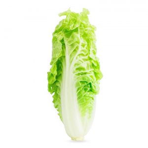 ecofood-product-15-780x780-1