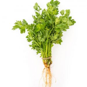 ecofood-product-16-780x780-1