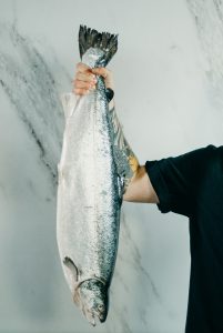 sea-food_3C